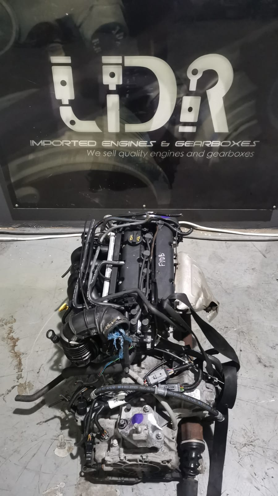 Ford Fiesta/Figo 1.6L Duratec FYDB Engine